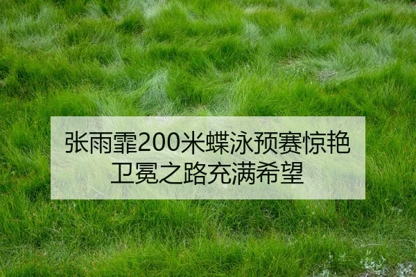 zhang-yu-fei-mi-die-yong-yu-sai-jing-yan-wei-mian-zhi-lu-chong-man-xi-wang-2-447.jpg